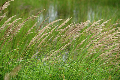 BUITEN BEELD Foto: 435075