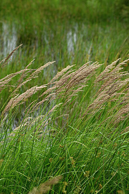 BUITEN BEELD Foto: 435076