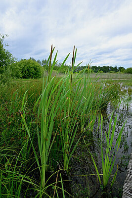 BUITEN BEELD Foto: 435077