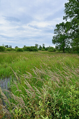 BUITEN BEELD Foto: 435080