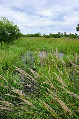 BUITEN BEELD Foto: 435083