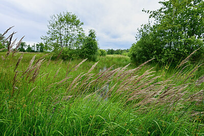 BUITEN BEELD Foto: 435084