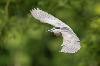 BUITEN BEELD Foto: 435097