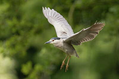 BUITEN BEELD Foto: 435098
