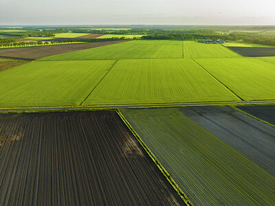 BUITEN BEELD Foto: 435108