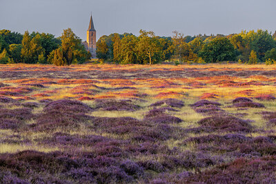 BUITEN BEELD Foto: 435115