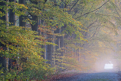 BUITEN BEELD Foto: 435117