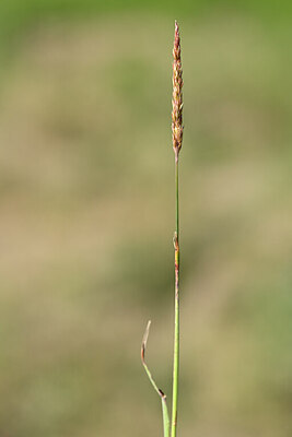 BUITEN BEELD Foto: 435133