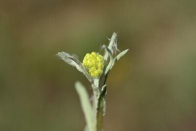 BUITEN BEELD Foto: 435139