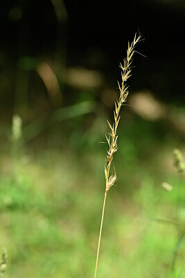 BUITEN BEELD Foto: 435143