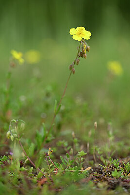 BUITEN BEELD Foto: 435147