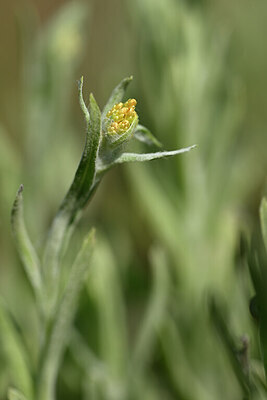 BUITEN BEELD Foto: 435149