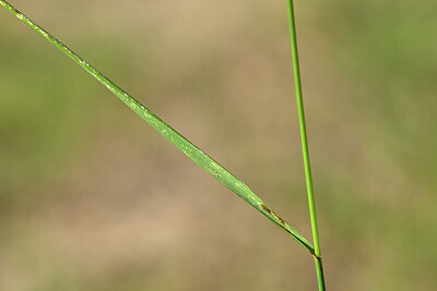 BUITEN BEELD Foto: 435153