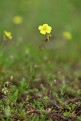 BUITEN BEELD Foto: 435158