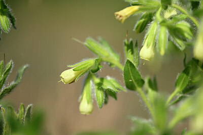 BUITEN BEELD Foto: 435171