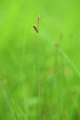 BUITEN BEELD Foto: 435199