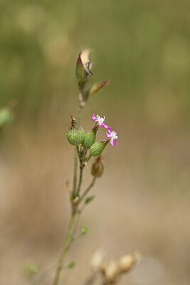 BUITEN BEELD Foto: 435206