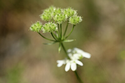 BUITEN BEELD Foto: 435231