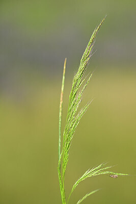 BUITEN BEELD Foto: 435233
