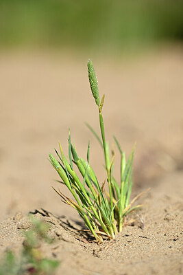 BUITEN BEELD Foto: 435257