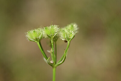 BUITEN BEELD Foto: 435258