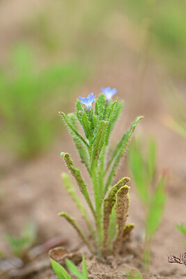 BUITEN BEELD Foto: 435266