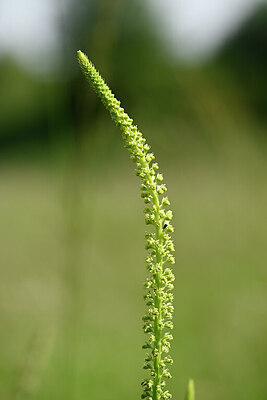 BUITEN BEELD Foto: 435284