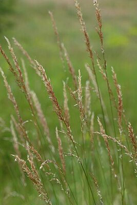 BUITEN BEELD Foto: 435291