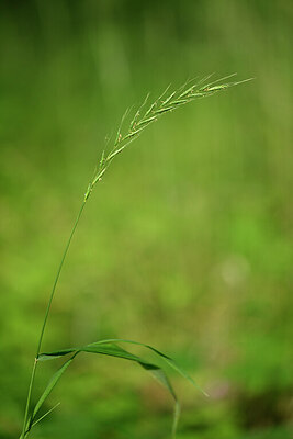 BUITEN BEELD Foto: 435293