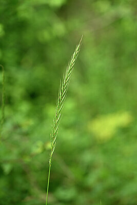 BUITEN BEELD Foto: 435301