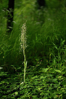 BUITEN BEELD Foto: 435304