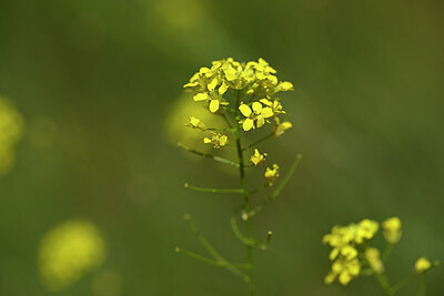 BUITEN BEELD Foto: 435305
