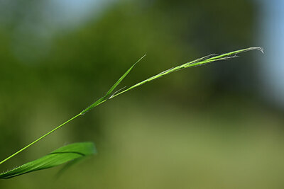 BUITEN BEELD Foto: 435336