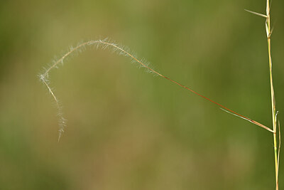 BUITEN BEELD Foto: 435341