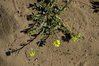 BUITEN BEELD Foto: 435356