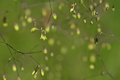 BUITEN BEELD Foto: 435357
