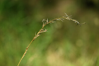 BUITEN BEELD Foto: 435370