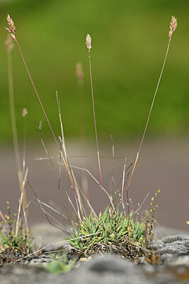 BUITEN BEELD Foto: 435374