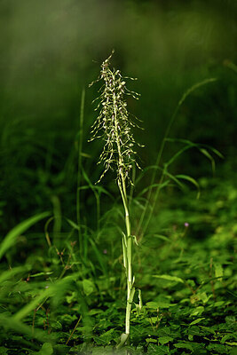 BUITEN BEELD Foto: 435400
