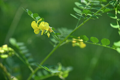 BUITEN BEELD Foto: 435404