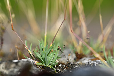BUITEN BEELD Foto: 435423
