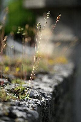 BUITEN BEELD Foto: 435429
