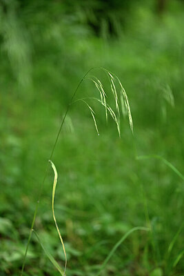 BUITEN BEELD Foto: 435438