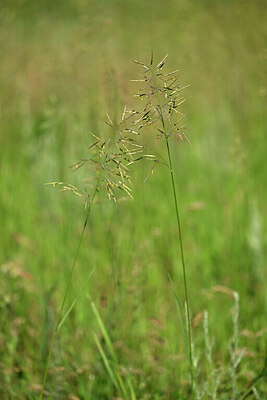 BUITEN BEELD Foto: 435465