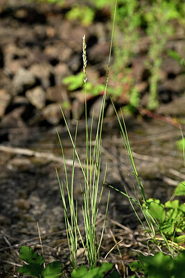 BUITEN BEELD Foto: 435491