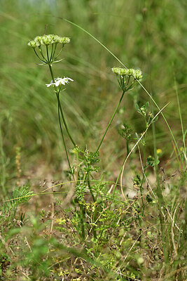 BUITEN BEELD Foto: 435503