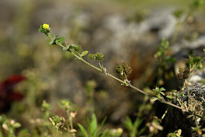 BUITEN BEELD Foto: 435505