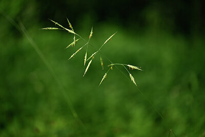BUITEN BEELD Foto: 435512