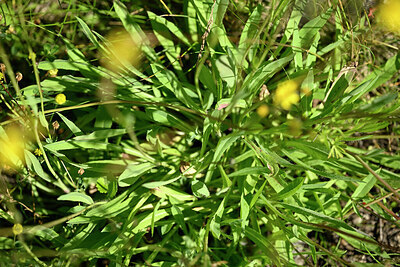 BUITEN BEELD Foto: 435524