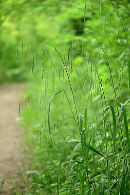BUITEN BEELD Foto: 435536